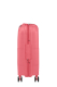 Mala de Cabine 55cm Expansível 4 Rodas Starvibe Coral - American Tourister | Mala de Cabine 55cm Expansível 4 Rodas Starvibe Coral | Misscath