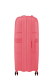 Mala de Viagem Grande 77cm Expansível 4 Rodas Starvibe Coral - American Tourister | Mala de Viagem Grande 77cm Expansível 4 Rodas Starvibe Coral | Misscath