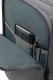 Mochila de Cabine Take2Cabin S Ryanair Cinzento-Escuro - MISSCATH