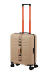 Mala de Cabine TrailOn 55cm 4 Rodas Bege - MISSCATH