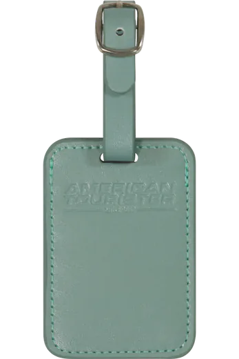 Etiqueta de Viagem Verde Iceberg